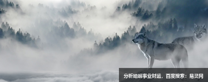 為什么民間的算命先生，近幾年越來(lái)越少了？總算知道了