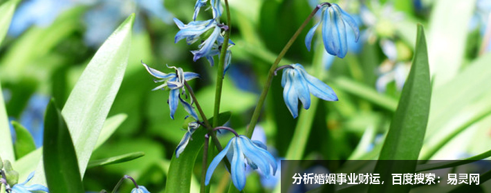 如何十分鐘快速找出住宅風(fēng)水的明財(cái)位暗財(cái)位，試試看