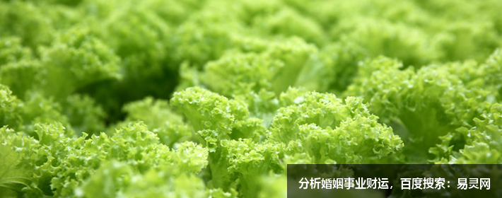 連山易風(fēng)水