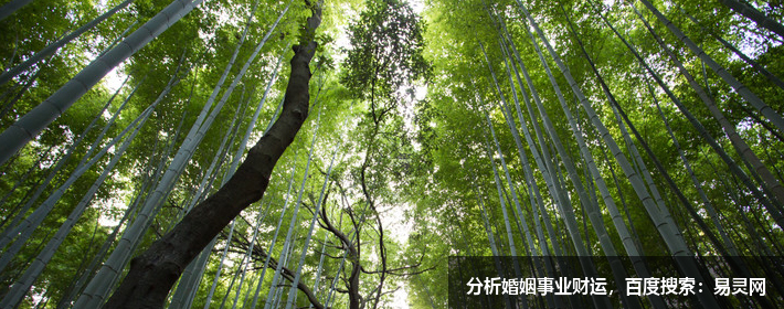 陰陽宅風水：二十四山六十年定局