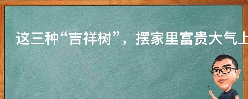 每日風水知識：這三種“吉祥樹”，擺家里富貴大氣上檔次，誰看了都喜歡