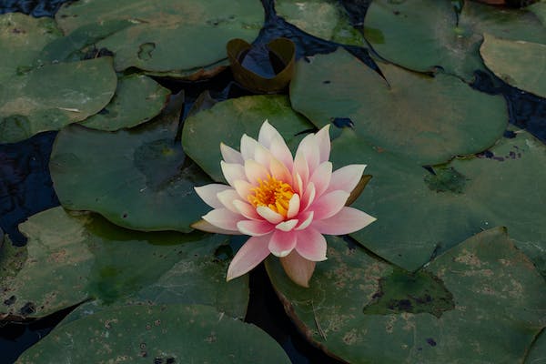 穿堂風(fēng)對(duì)人體有何危害 穿堂風(fēng)的危害