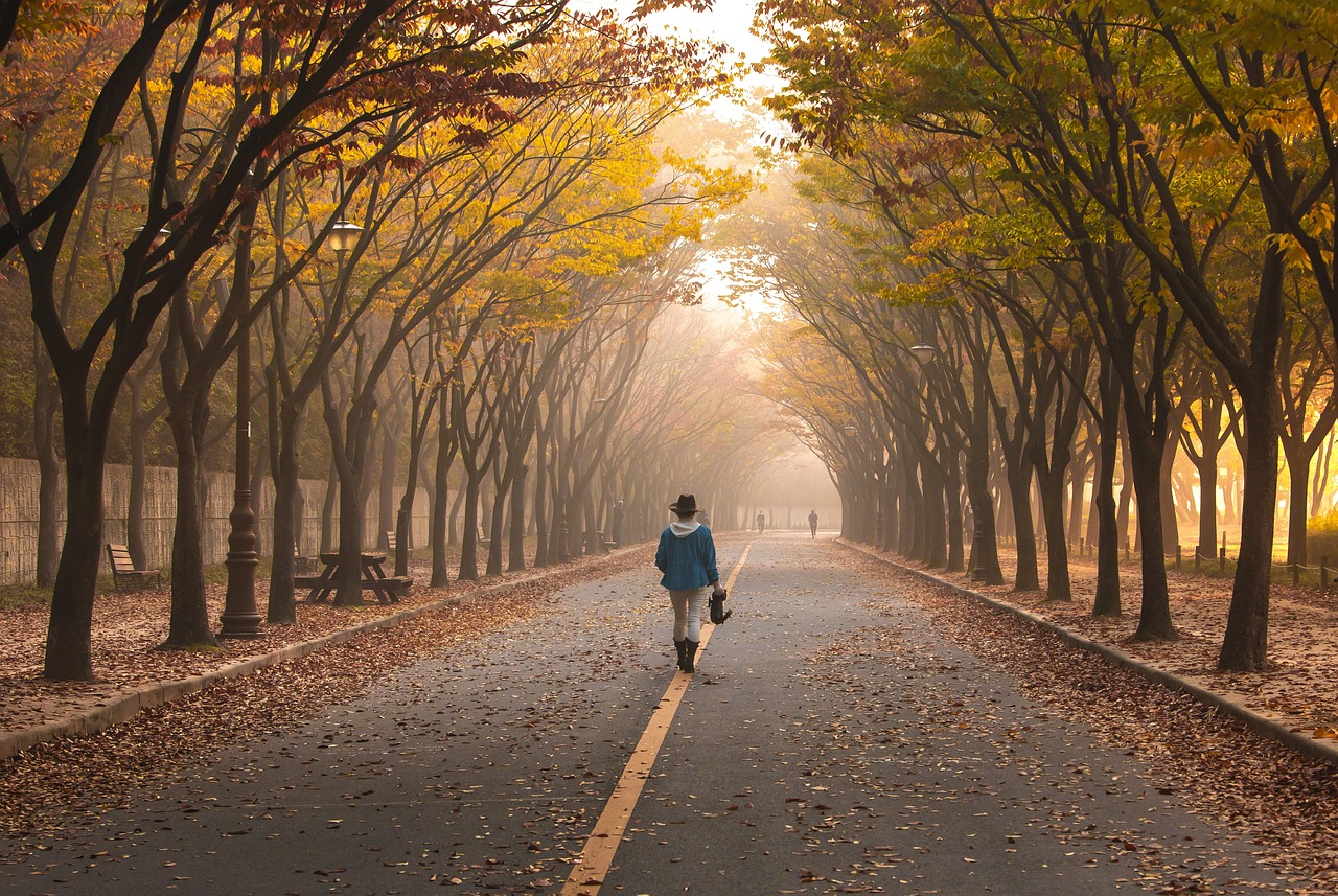 墳地左高右低什么預(yù)兆 祖墳右邊高對誰不好